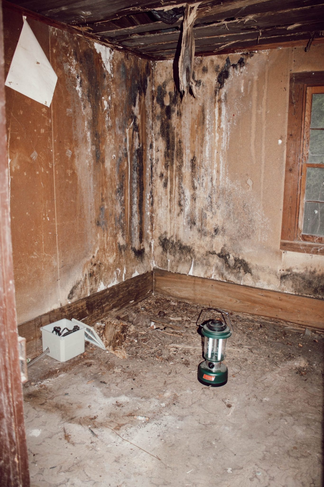 back bedroom of 1800's farmhouse before renovation