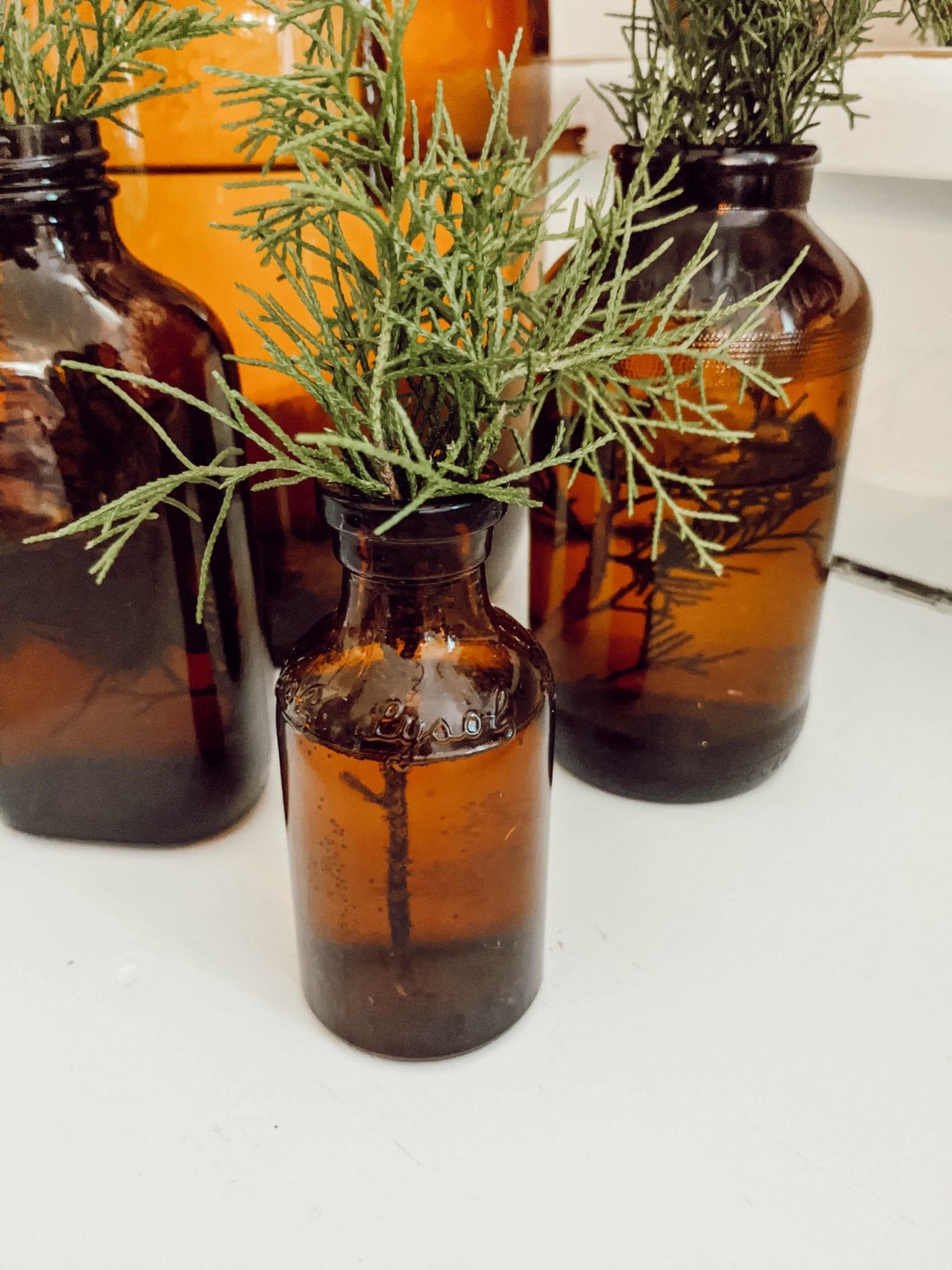 vintage brown lysol bottle with cedar trimmings