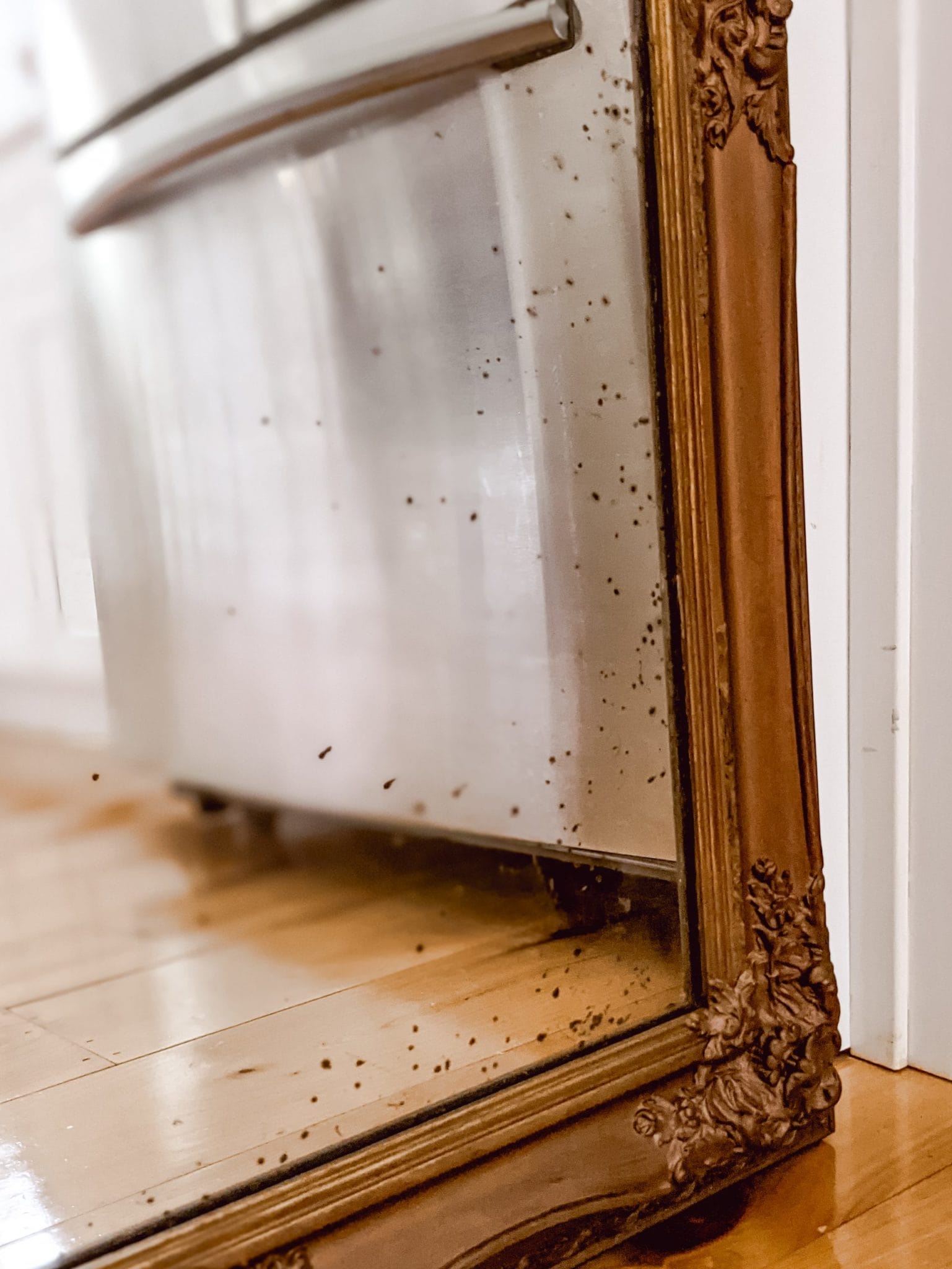 antique gold mirror with intricate frame and black oxidation spots on the glass