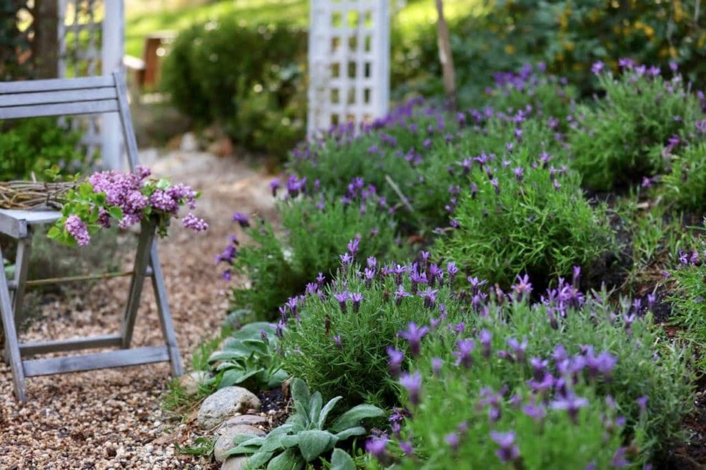 french country farmhouse landscaping ideas with pea gravel walkway and stone edged flower beds