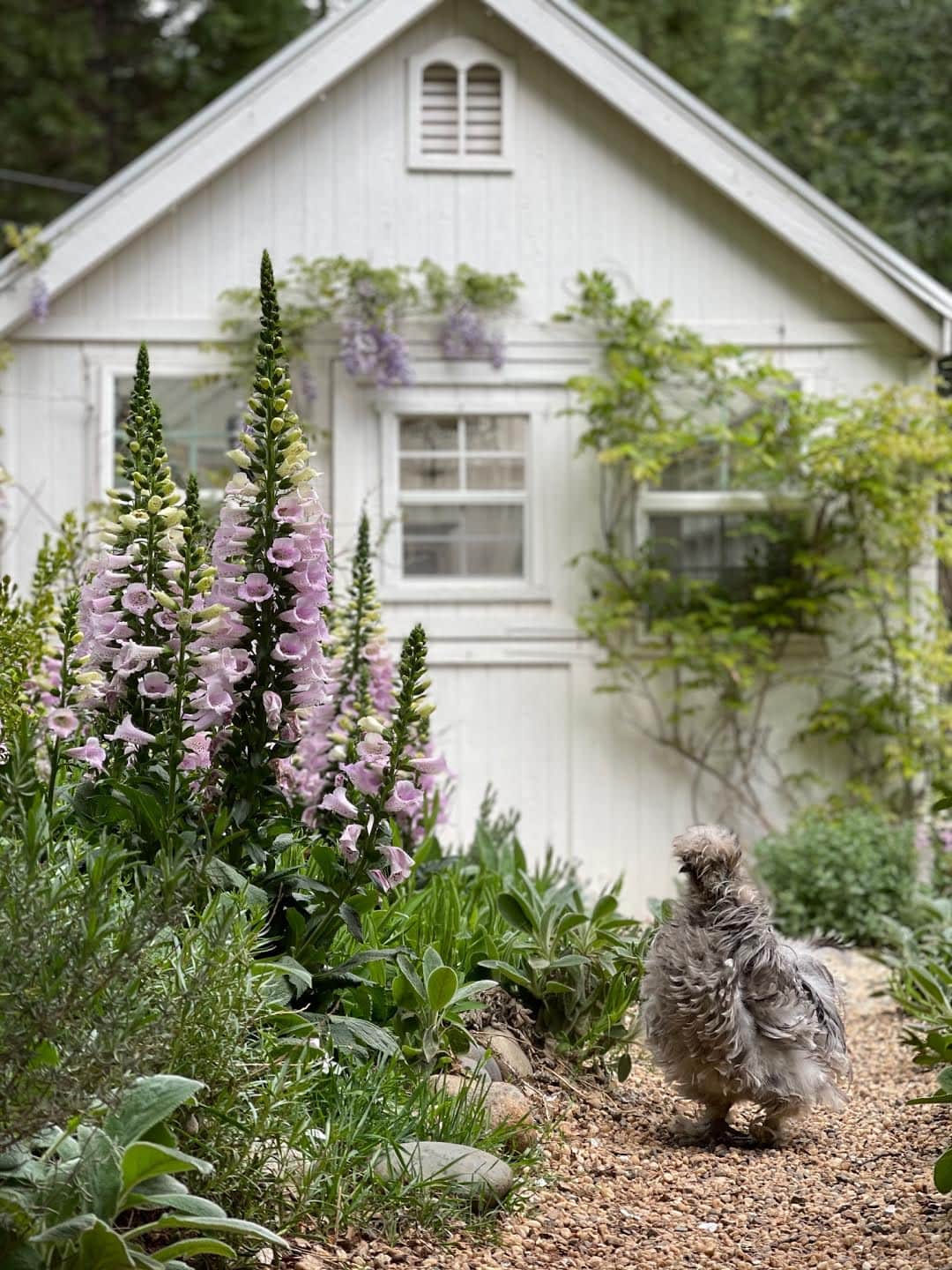 Simple Country Farmhouse Landscaping Ideas with Stone Flower Bed Edging -  White and Woodgrain, image size:1080x1440