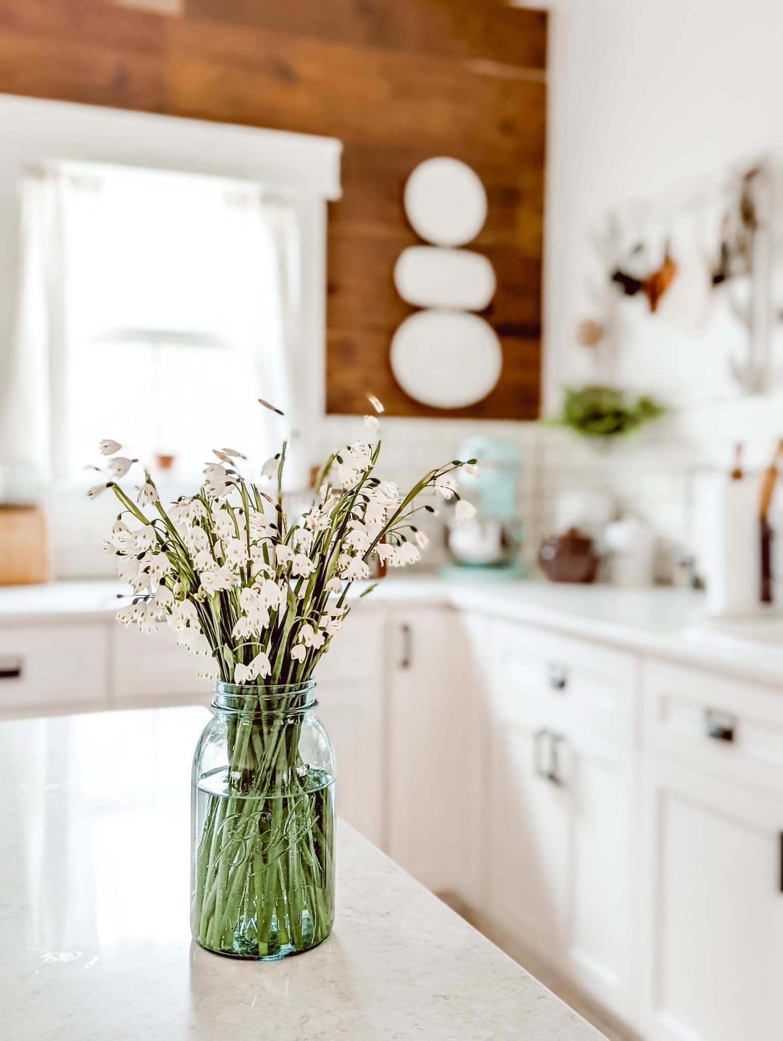 fresh cut summer snowflake flowers stems in a blue ball mason jar in our farmhouse kitchen