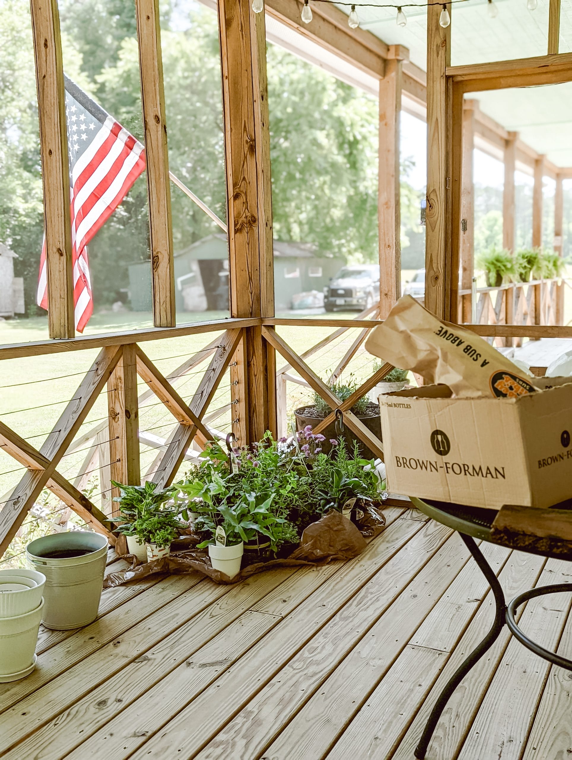 group of plants on a screened in porch with an American flag hanging