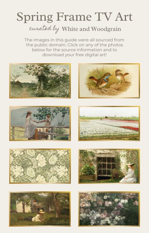 spring frame tv art - curated by White and Woodgrain
