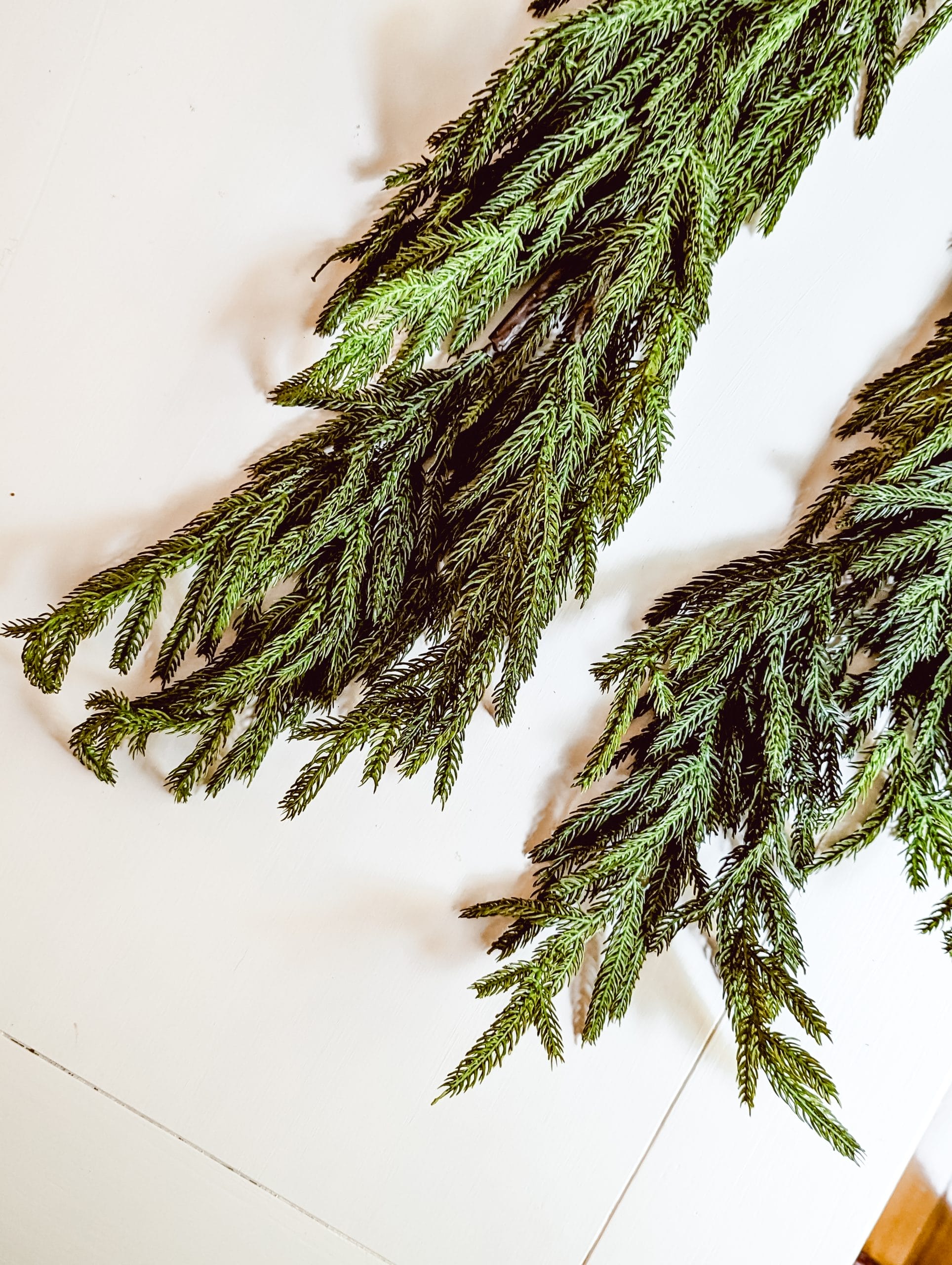 the best norfolk pine garlands from afloral and kirkland's