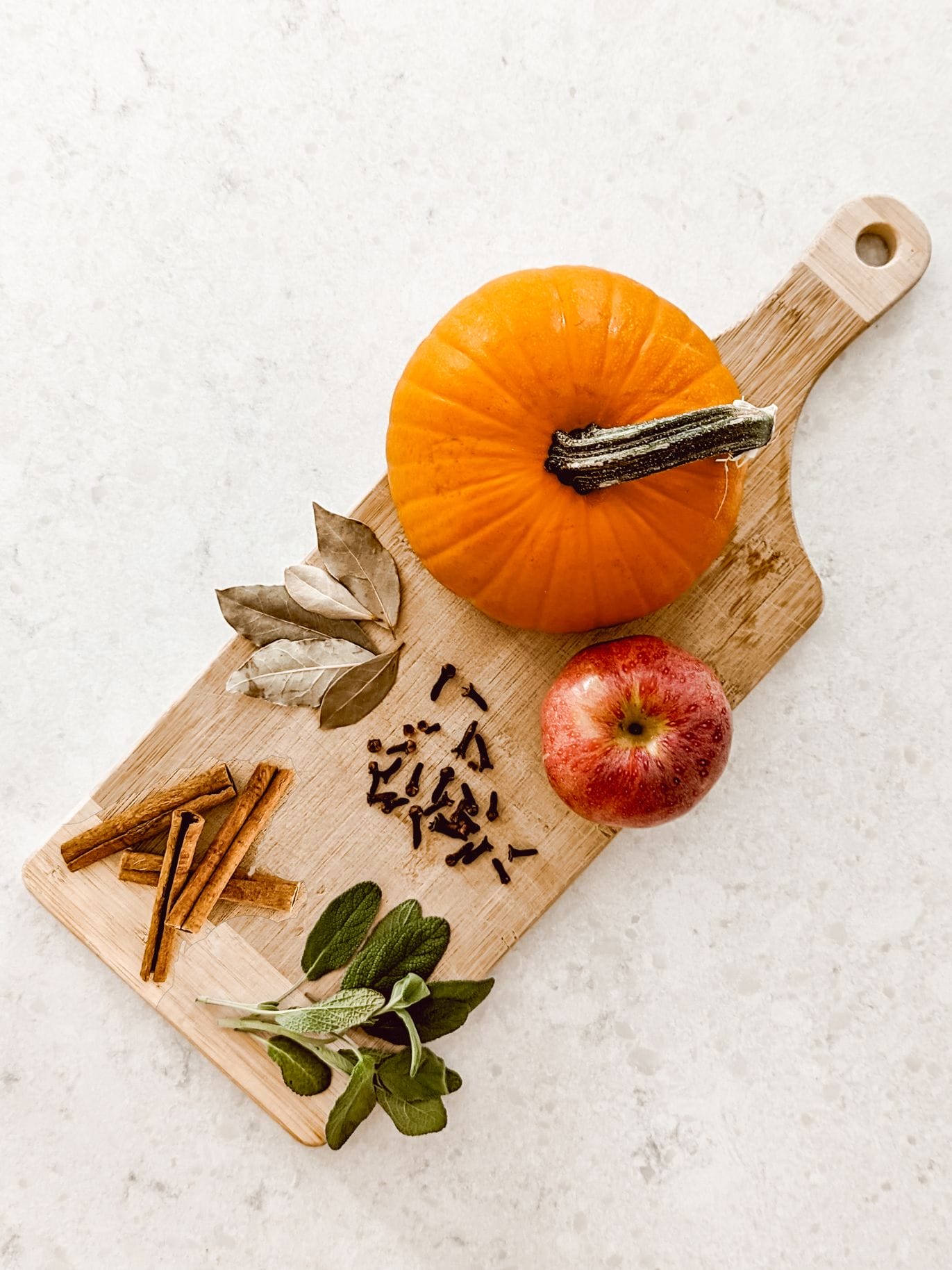 Best Fall Simmer Pot Recipes to Make Your Home Smell Amazing!