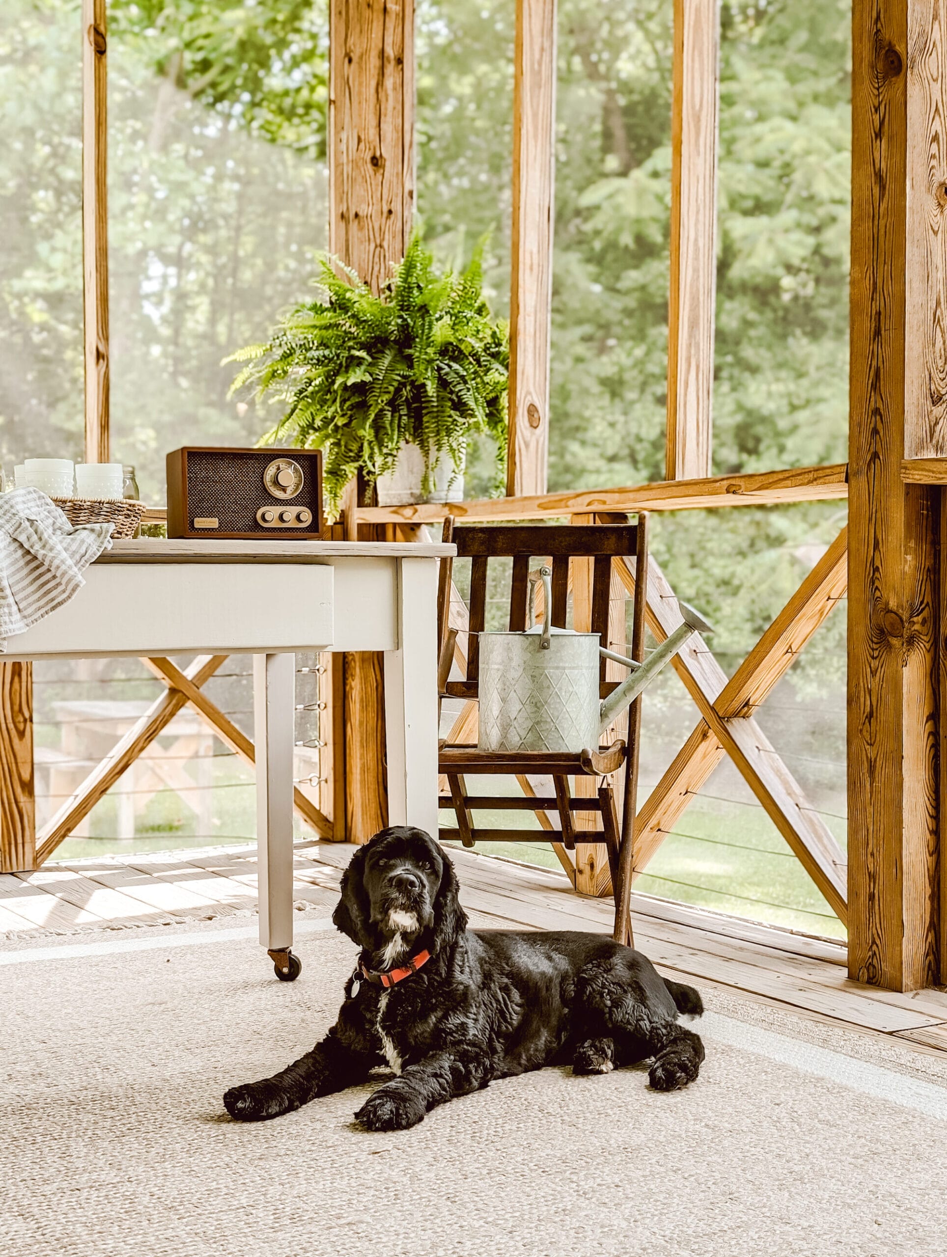 black cocker spaniel laying on an outdoor rug in front of a table and chairs