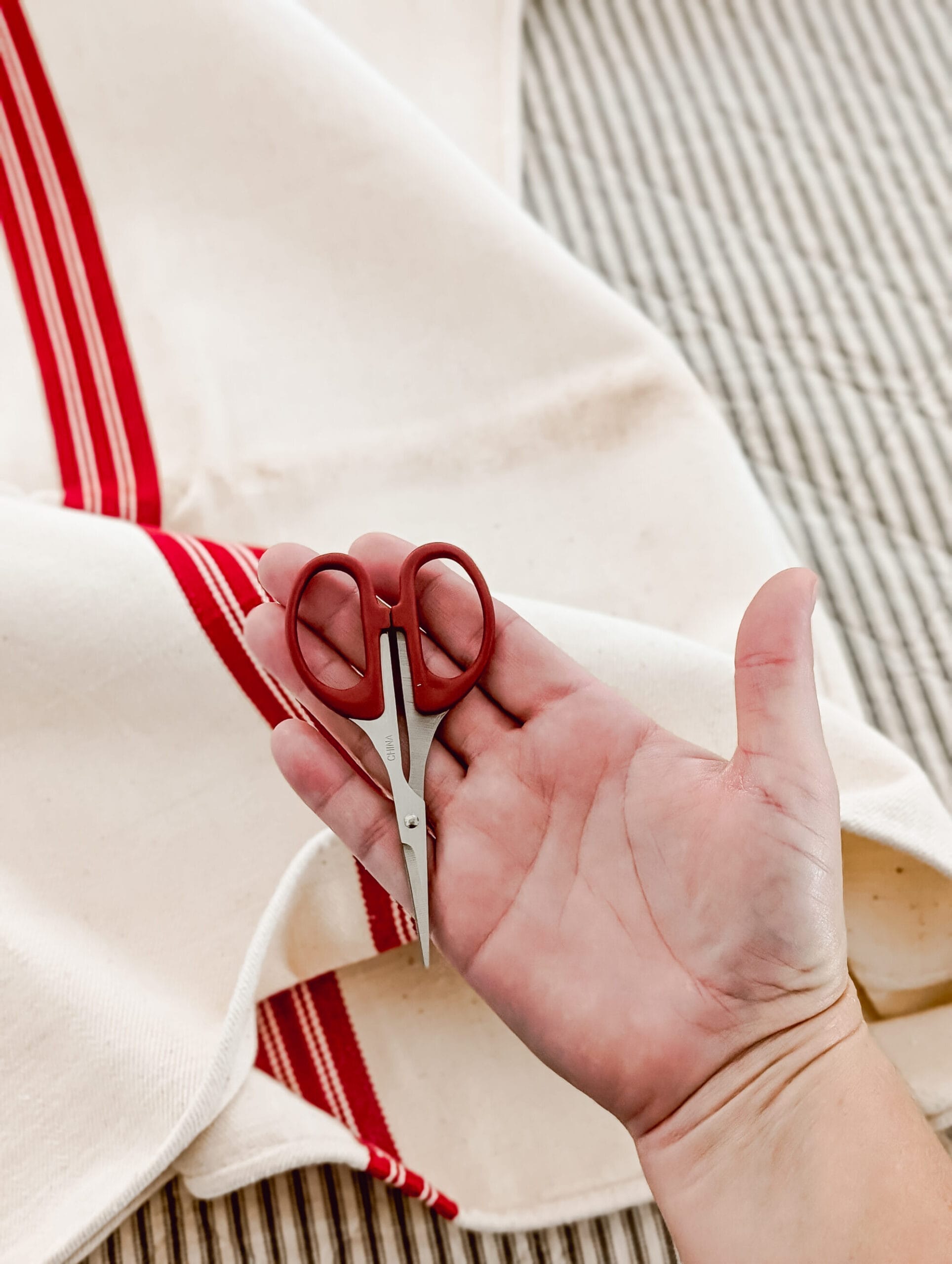 very tiny detail scissors