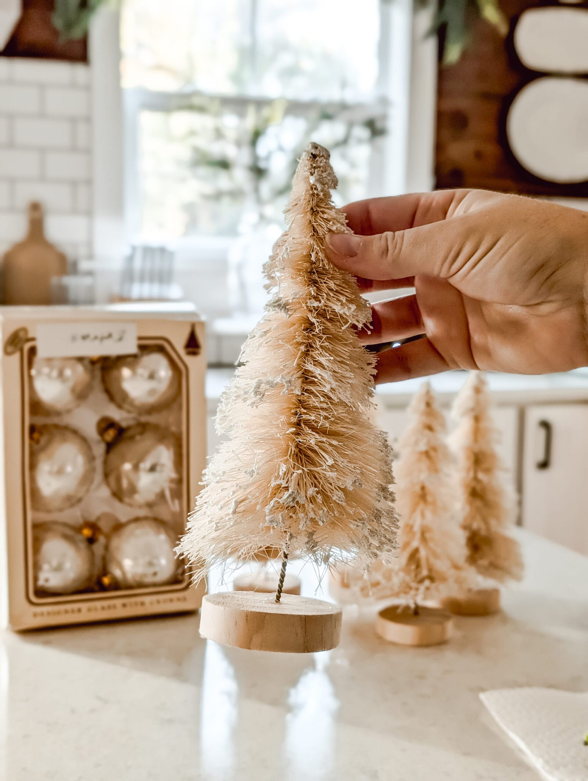 creamy white bottle brush tree