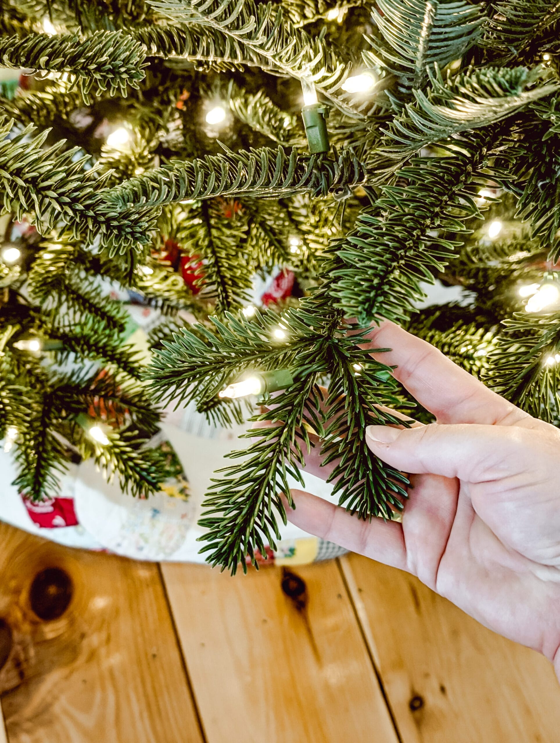 detail of the branches and needles on Balsam Hill's most realistic Christmas tree - the Nordmann Fir