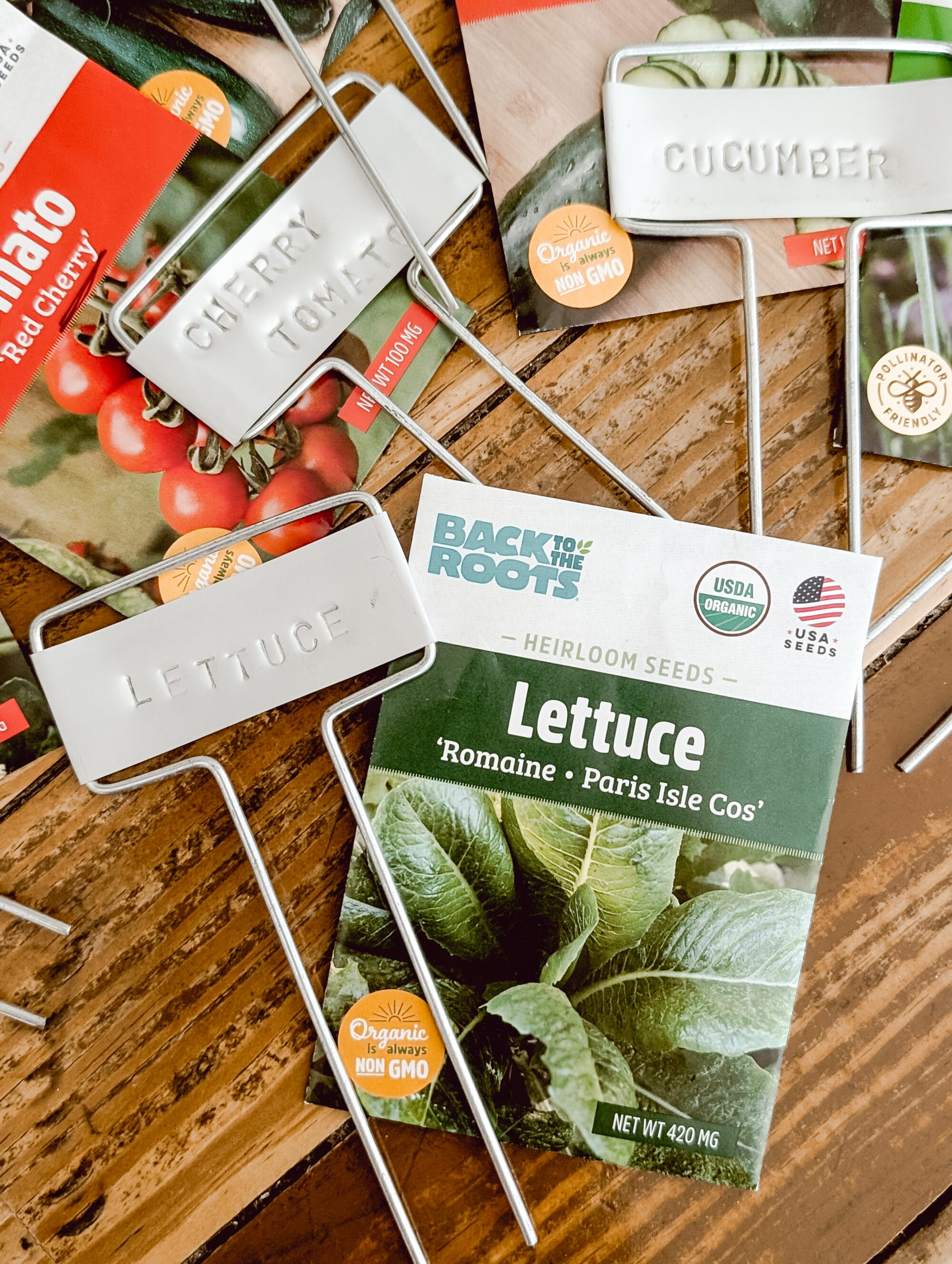 garden markers with the vegetable names printed on the front laying next to the seed packets  for the corresponding plants
