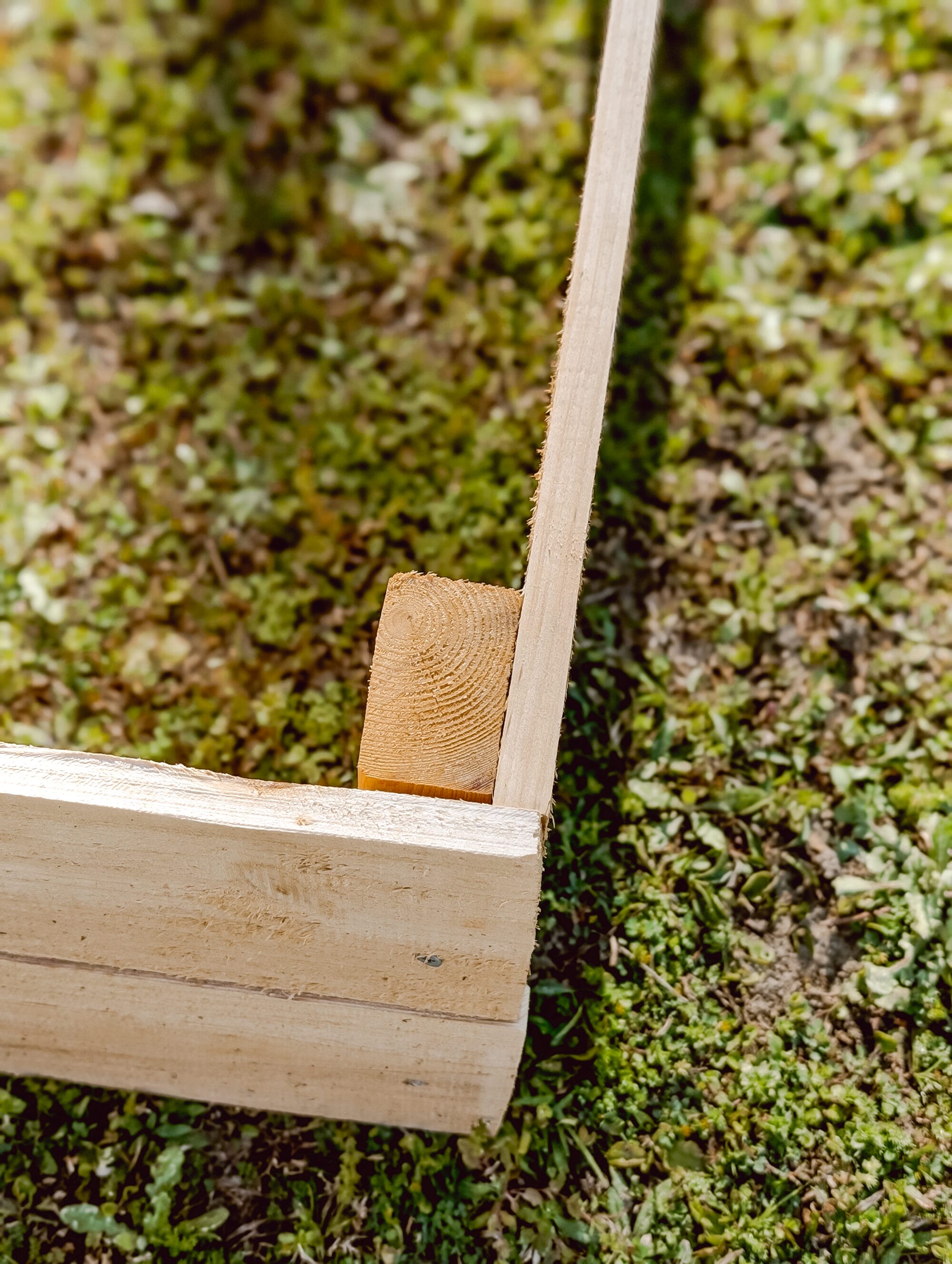 the corner of a wood raised bed