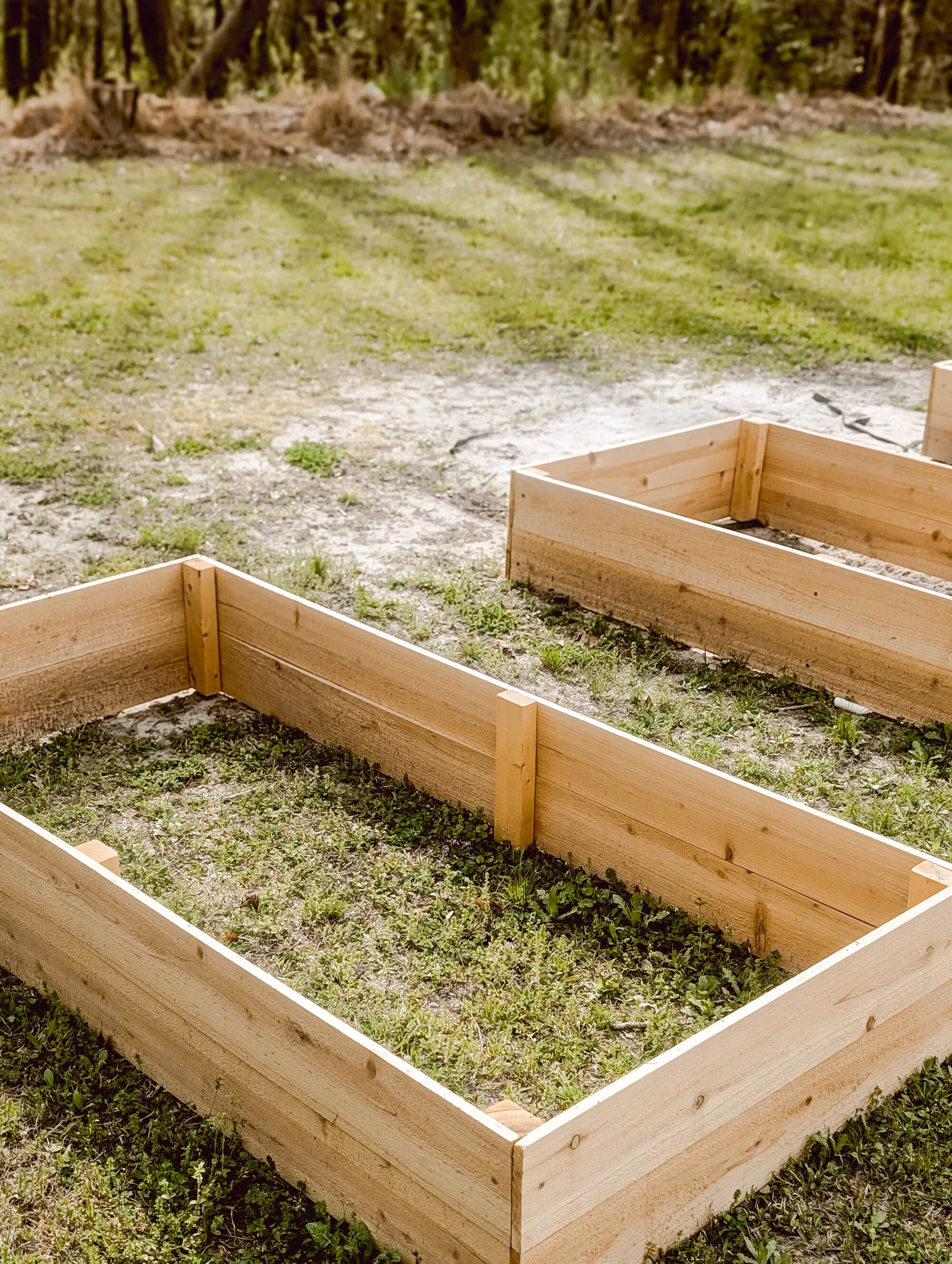 raised cedar garden bed with no dirt in it yet