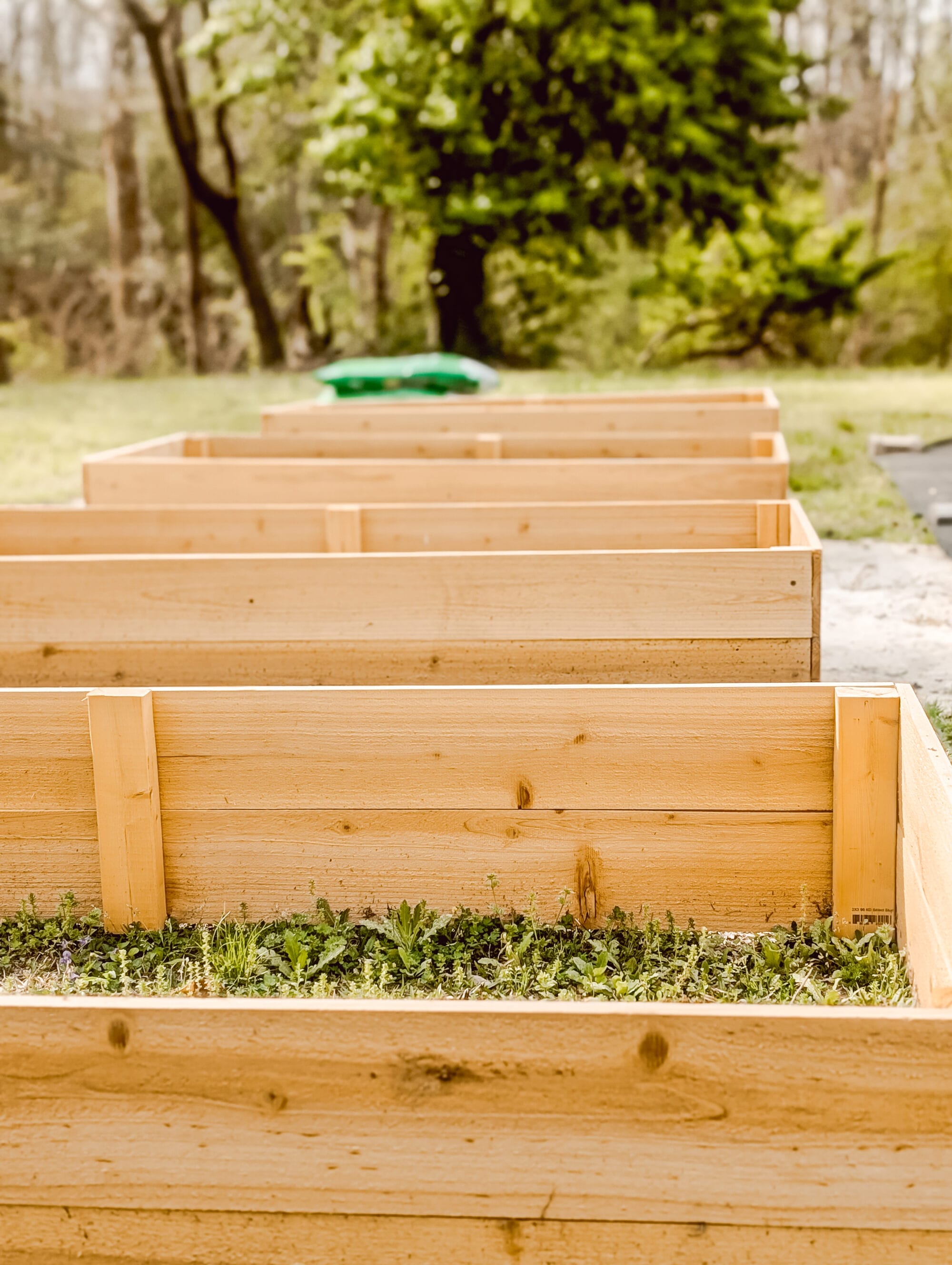 2 x 4 support boards inside a wood raised garden bed