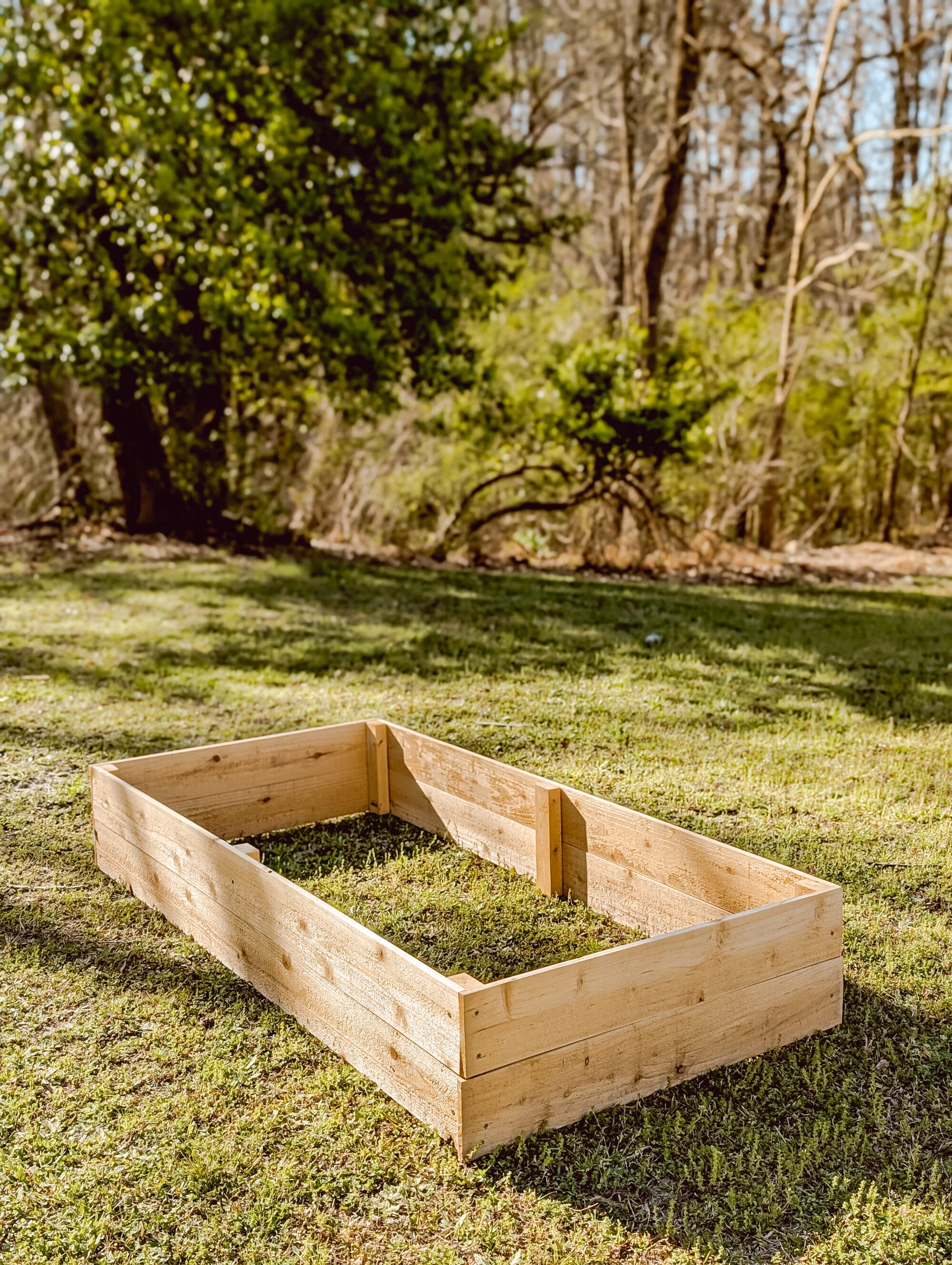 empty raised cedar garden bed made from cedar fence pickets