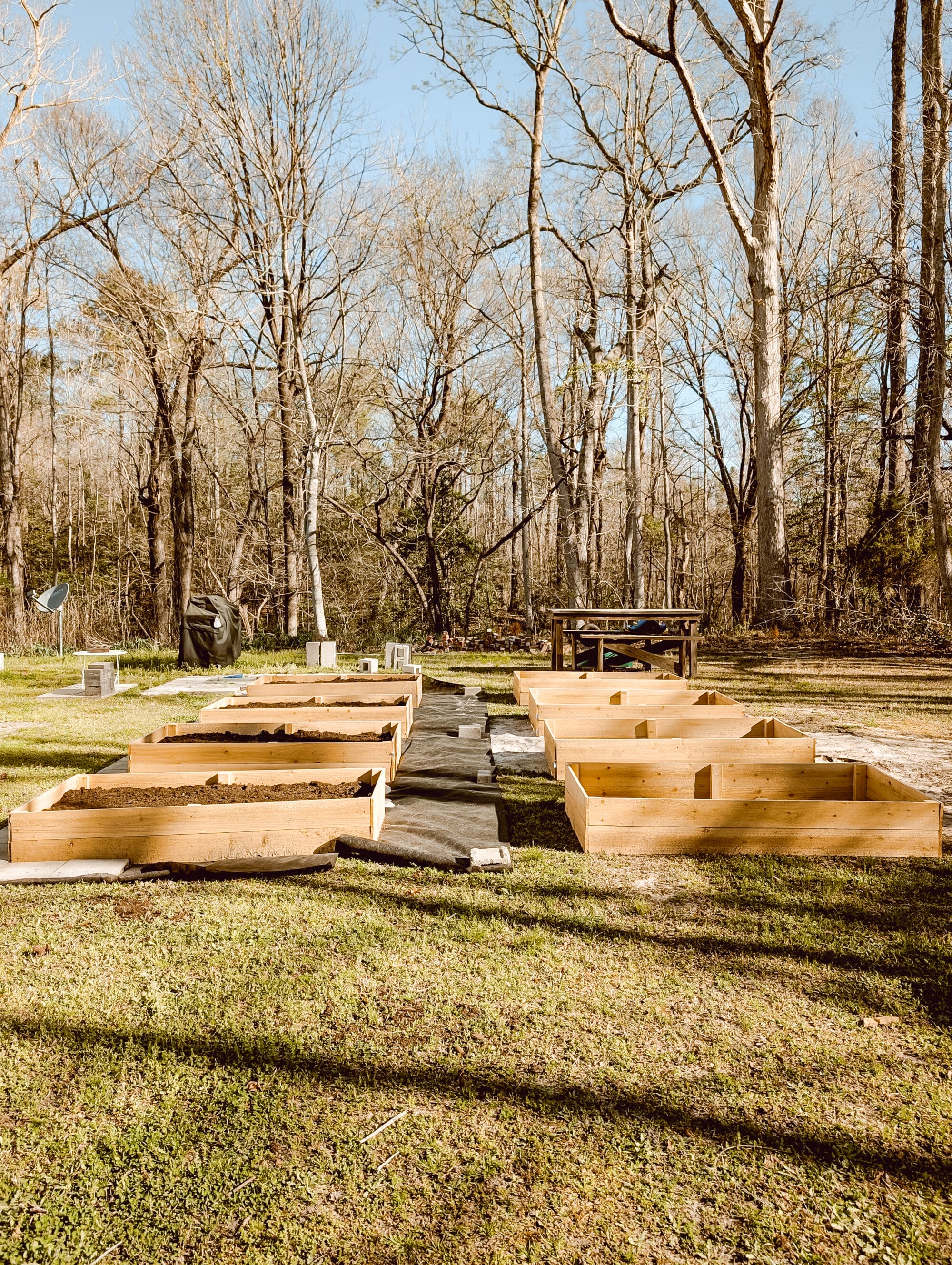 future potager garden space in progress with 8 cedar wood raised garden beds and space for paver walkways between the beds
