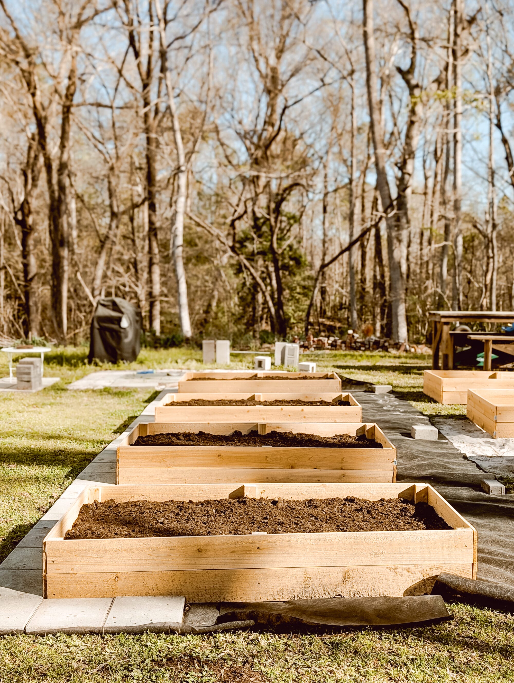 How We Built Our DIY Cedar Raised Garden Beds for Under $30