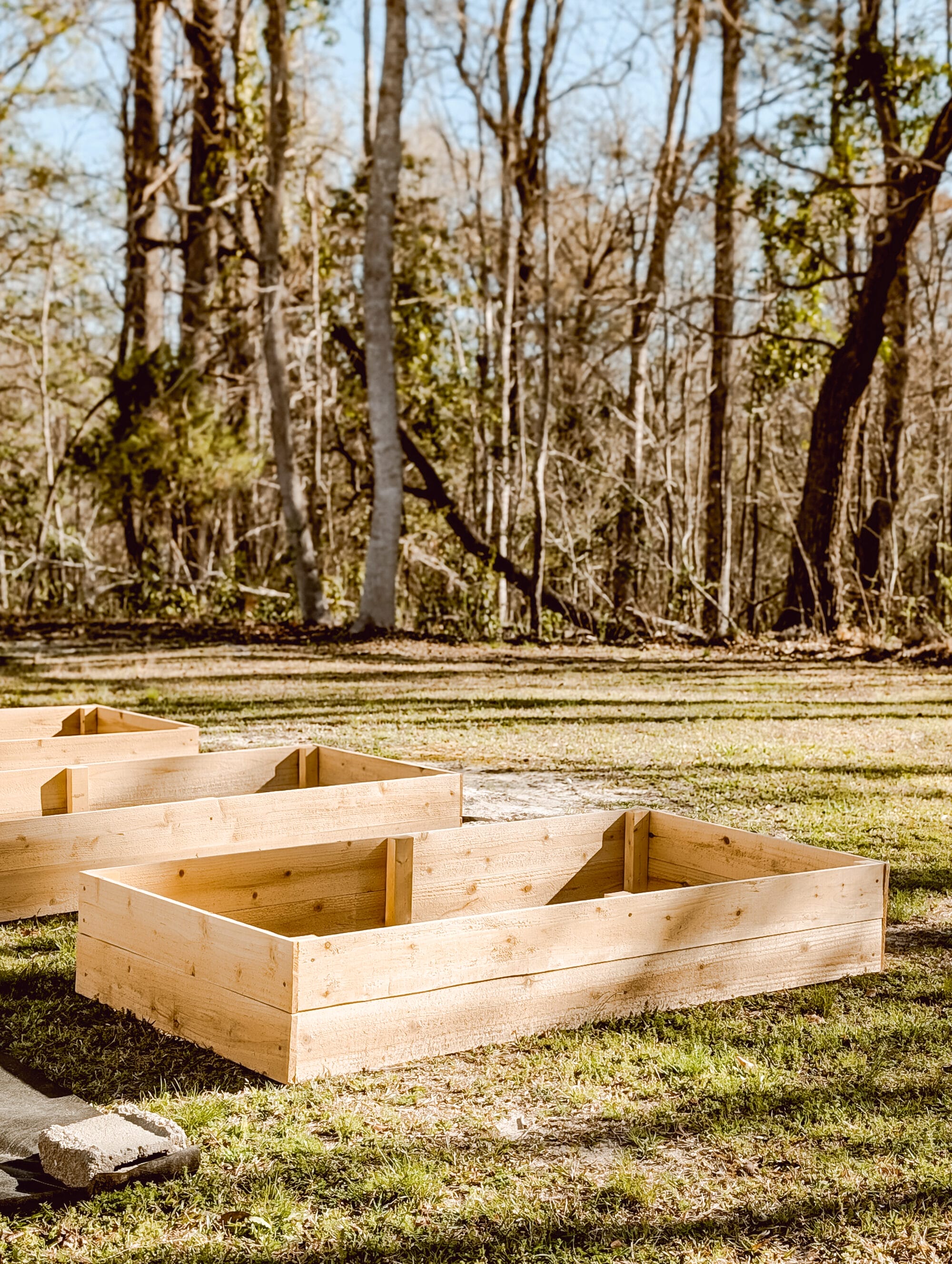 budget friendly raised garden bed built out of cedar fence pickets