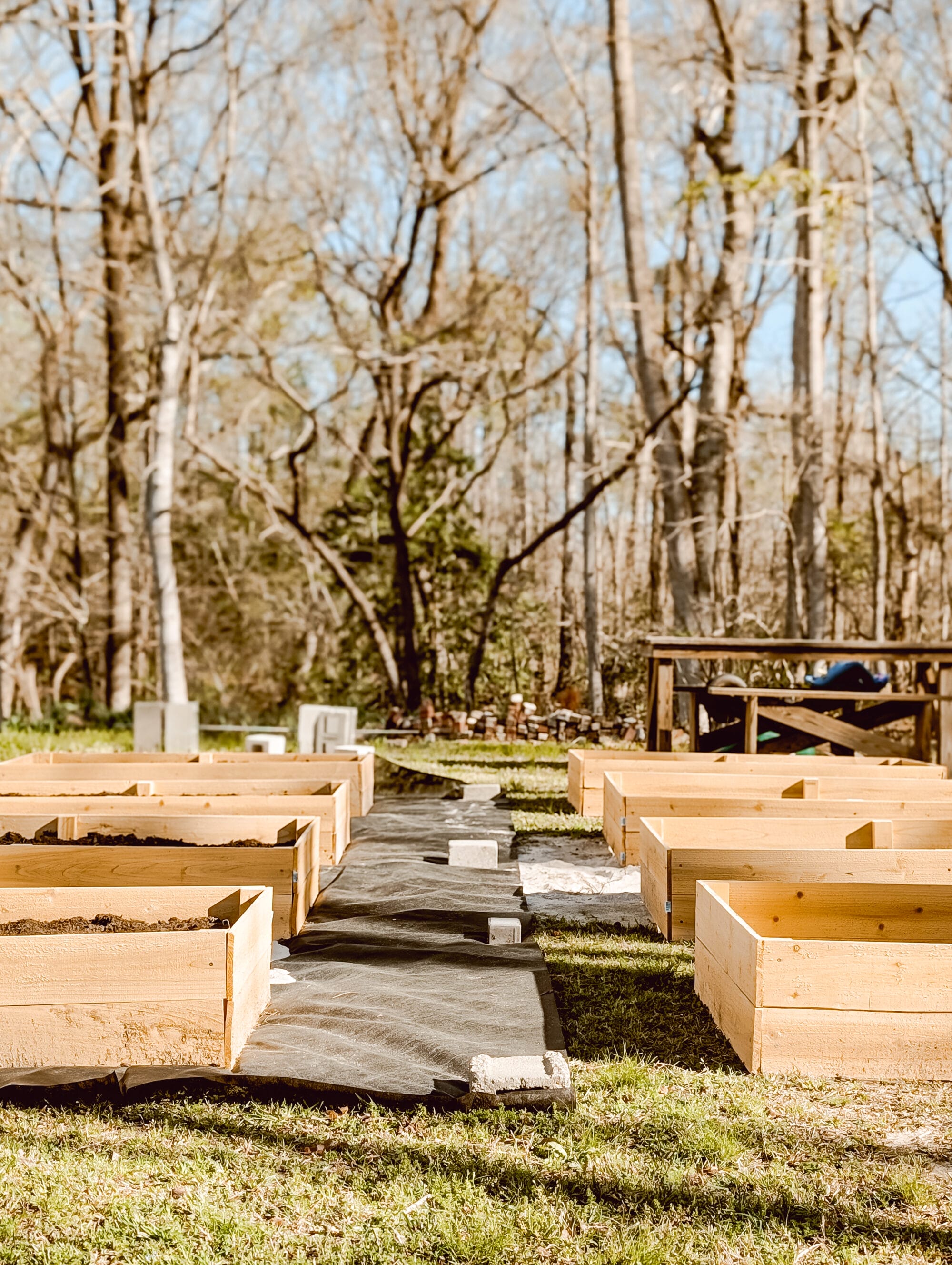 wooden raised garden beds with a walkway down the middle