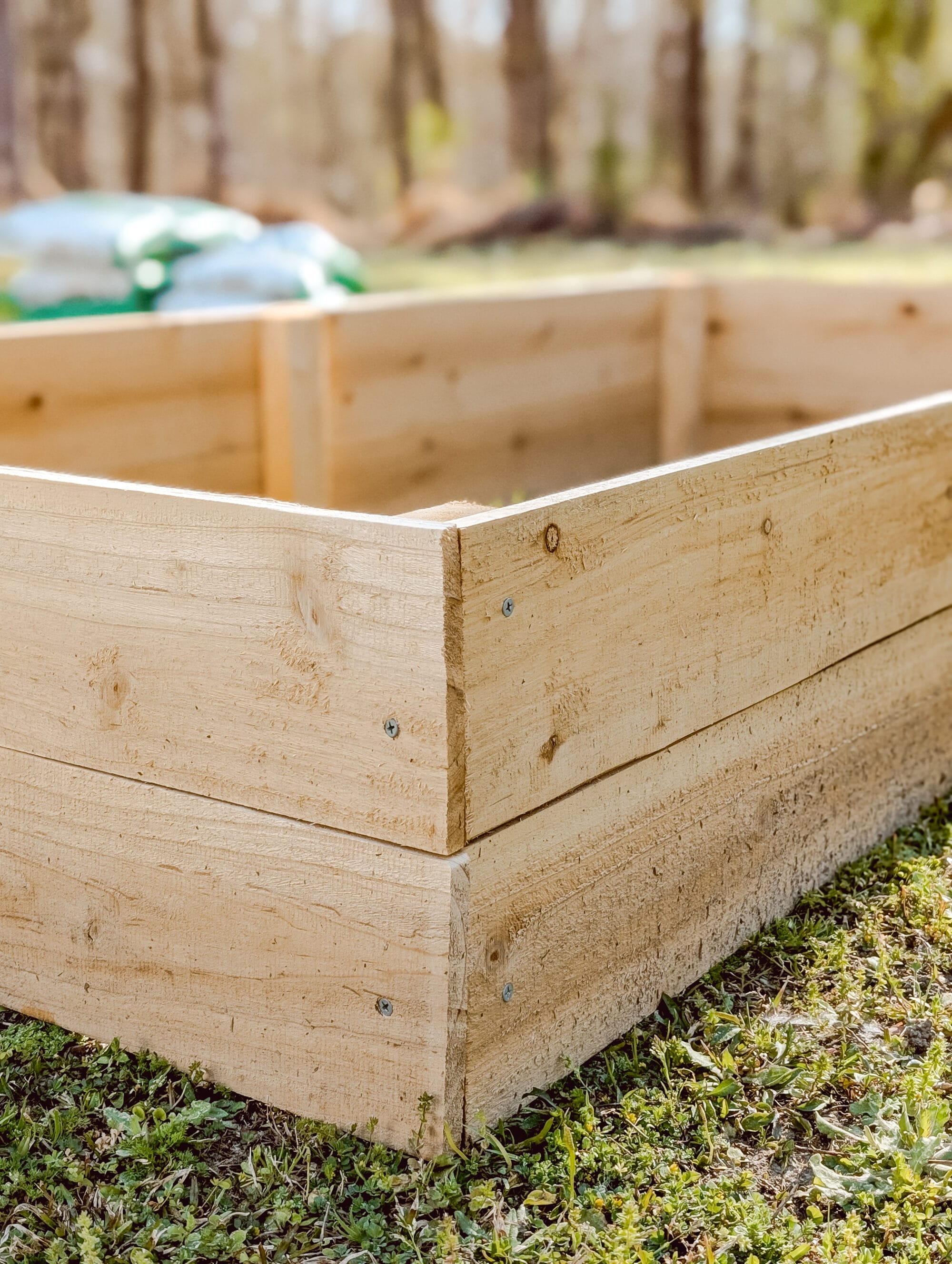 the outside corner of a wood raised bed