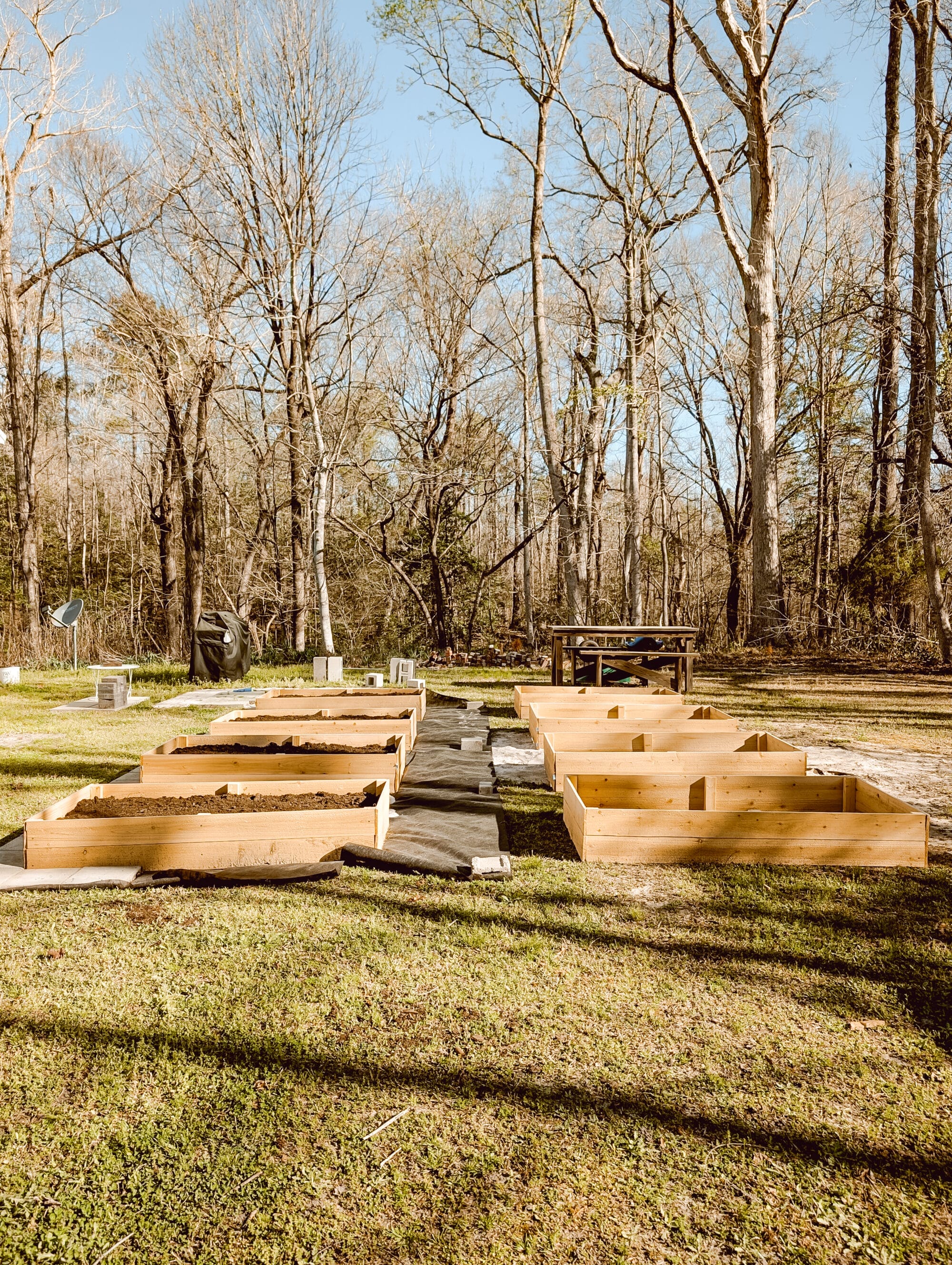 8 raised cedar wood garden beds with space for walkways in between the beds