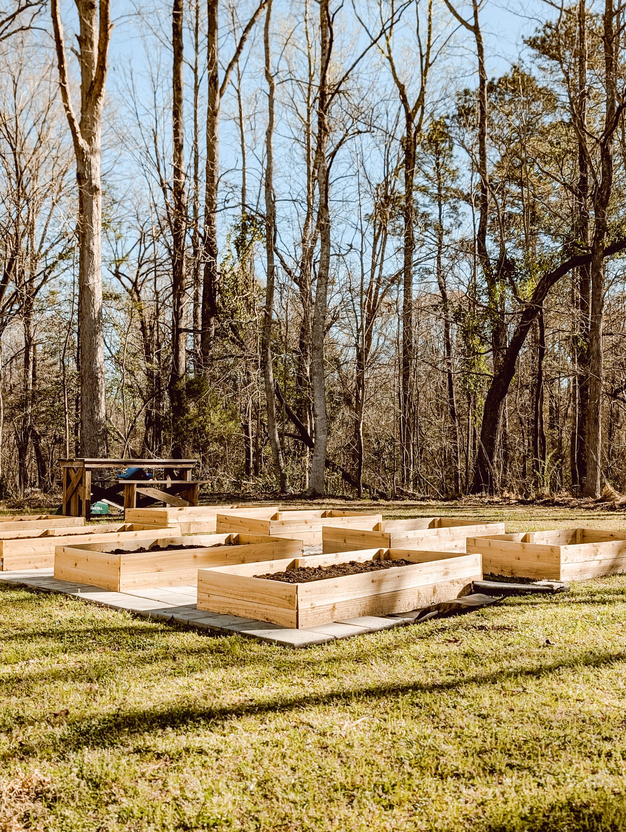future potager garden space in progress with 8 cedar wood raised garden beds and space for paver walkways between the beds
