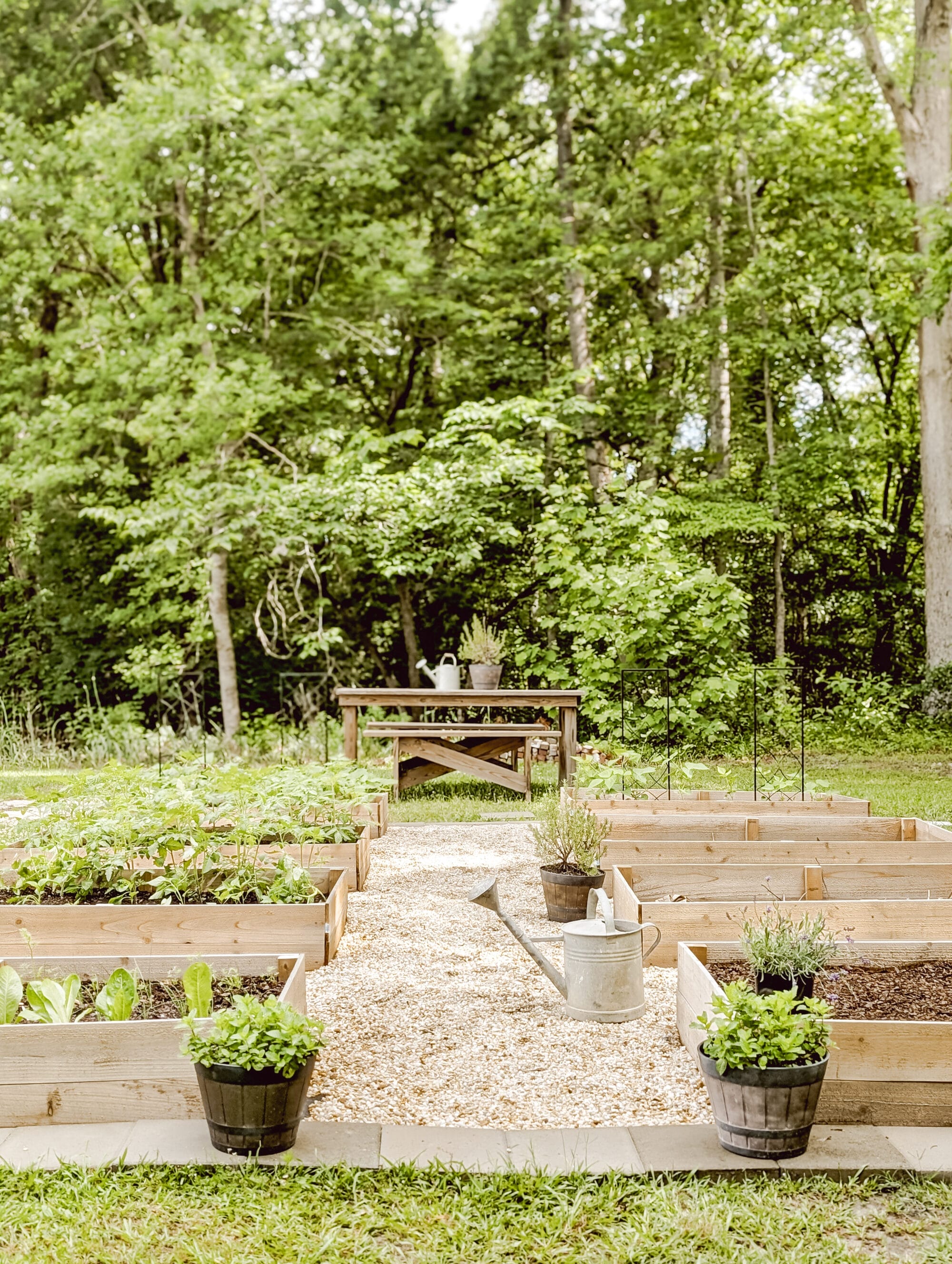 kitchen garden with raised cedar beds and pea gravel walkways