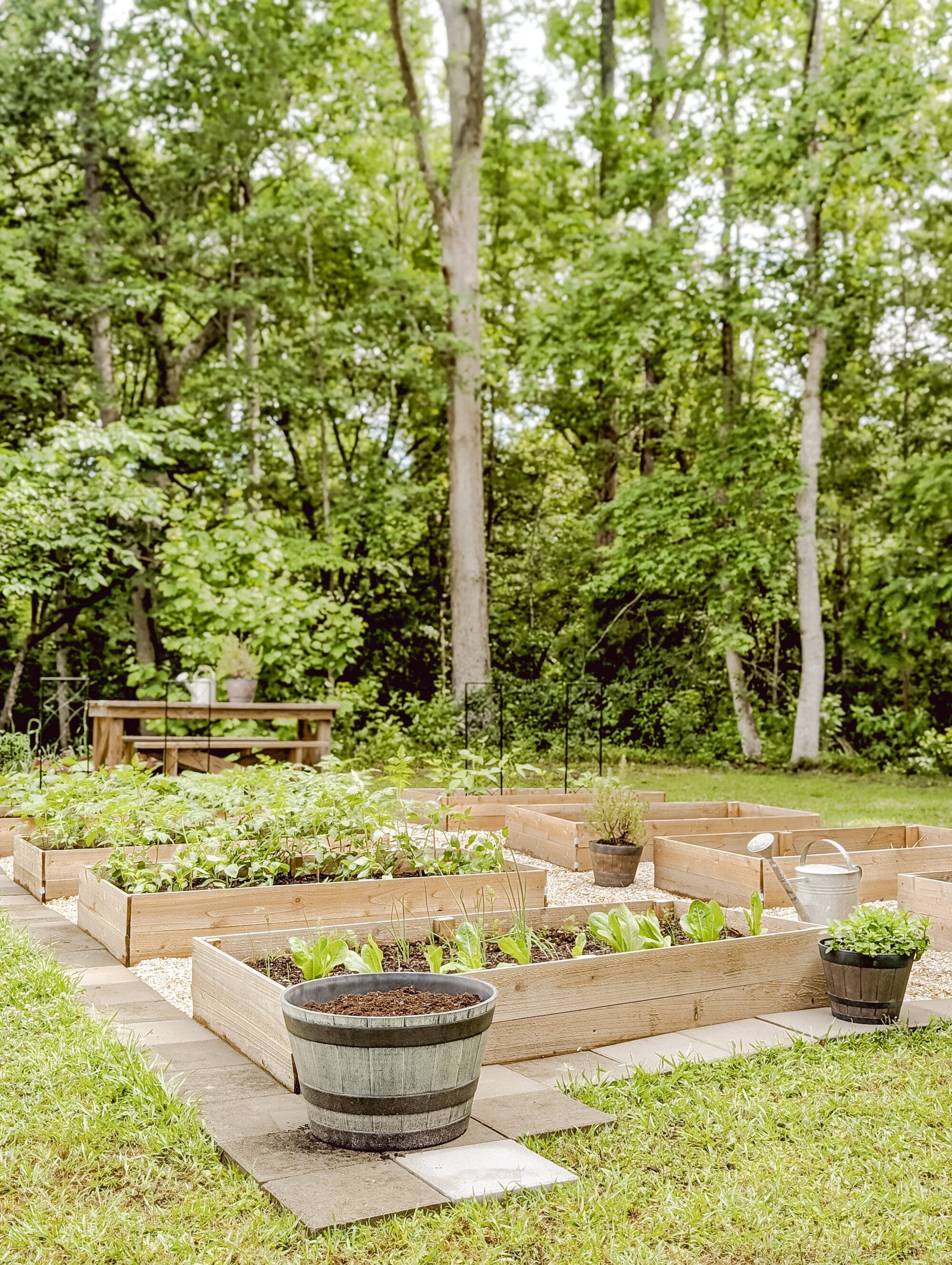 vegetable garden with raised cedar beds and pea gravel walkways and a few scattered planter pots with herbs