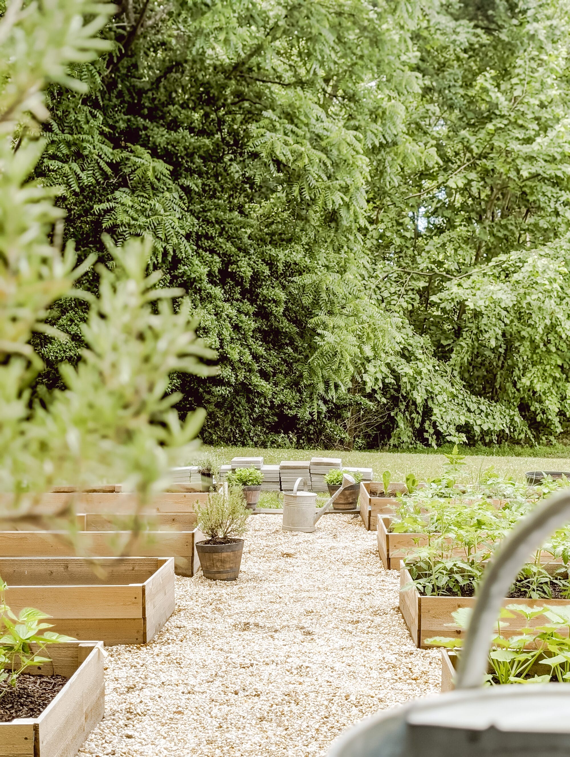 potager garden with raised cedar beds and pea gravel walkway down the middle